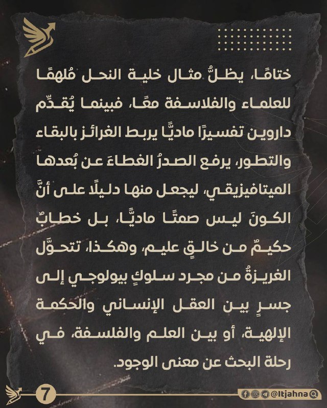 إتجاهنا