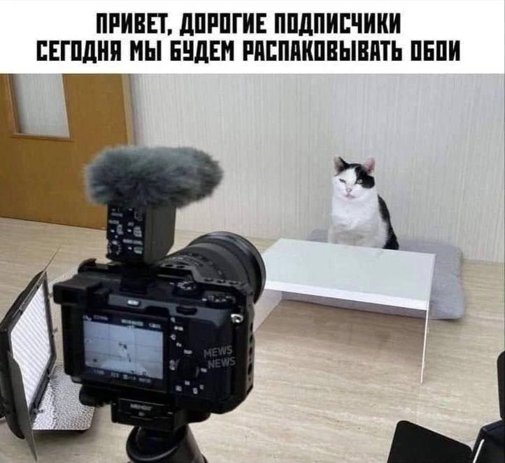 Хребты Безумия