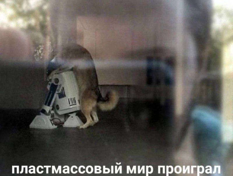 Хребты Безумия