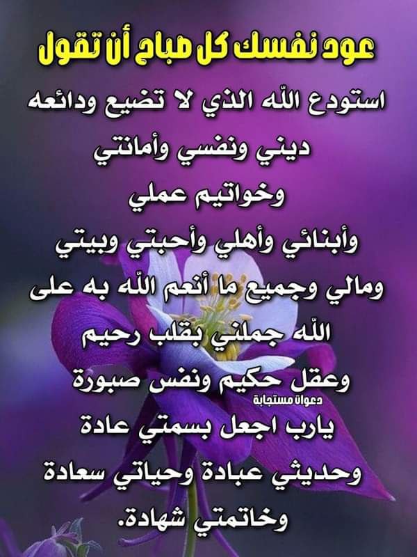 الاتقان في تلاوة القران