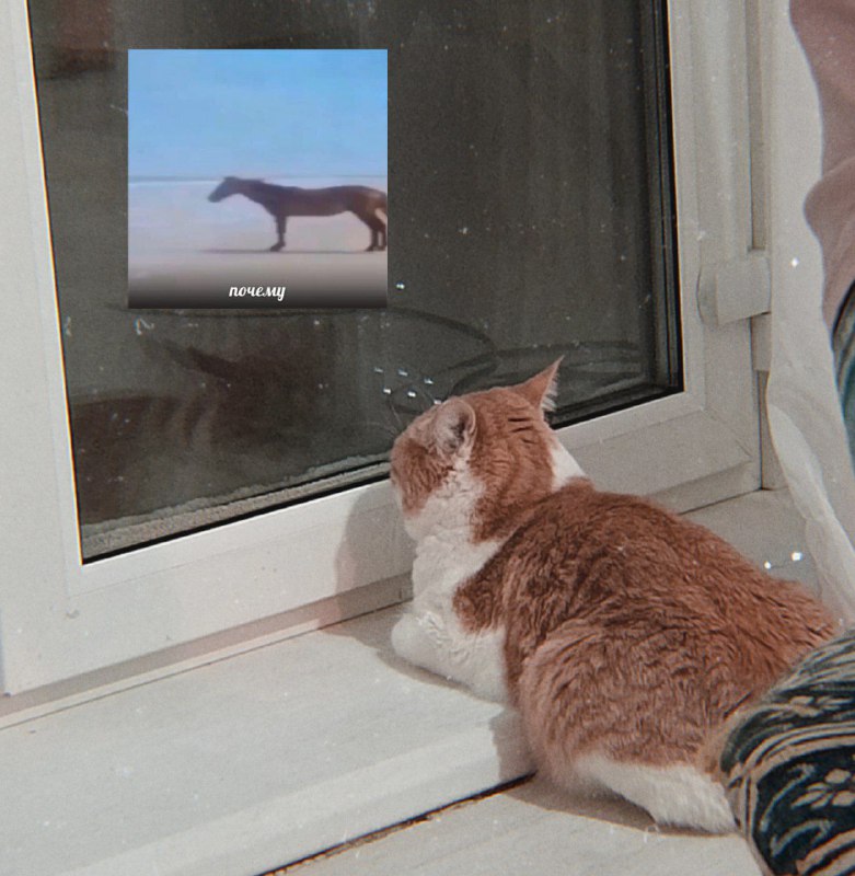 как же я его чувствую
