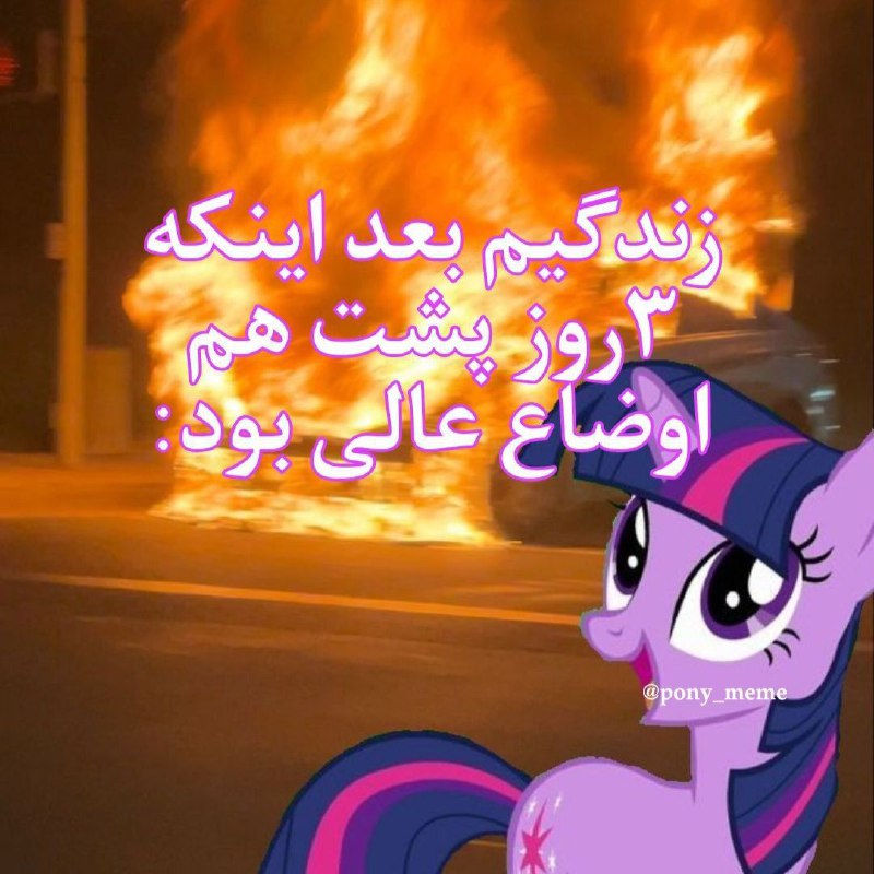 مدیس