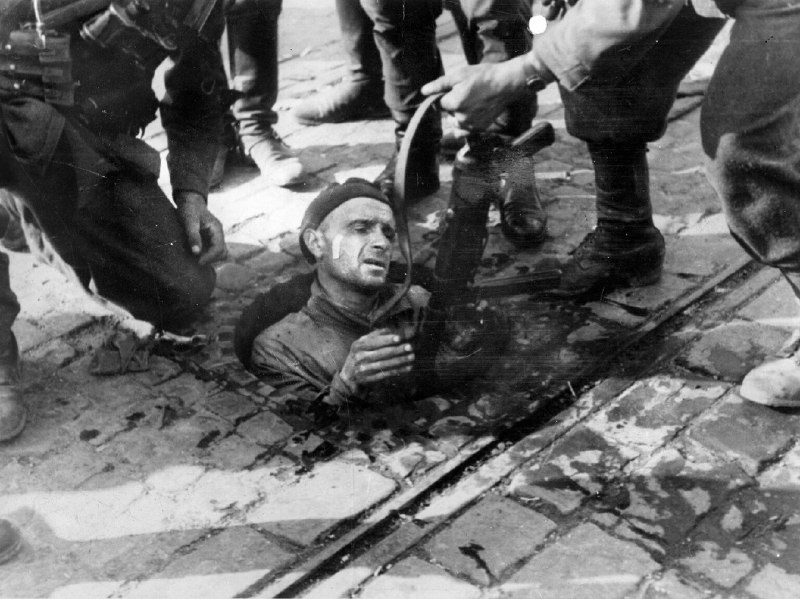 A Polish fighter is pulled from …