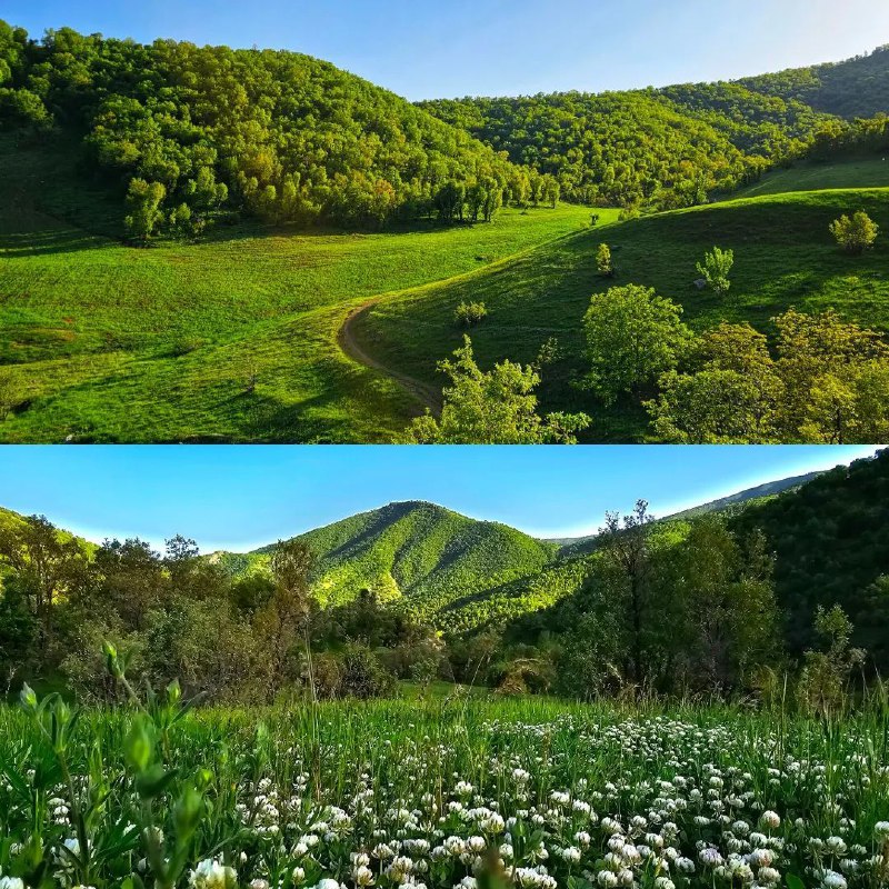 کانال نظرسنجی اساتید اصفهان