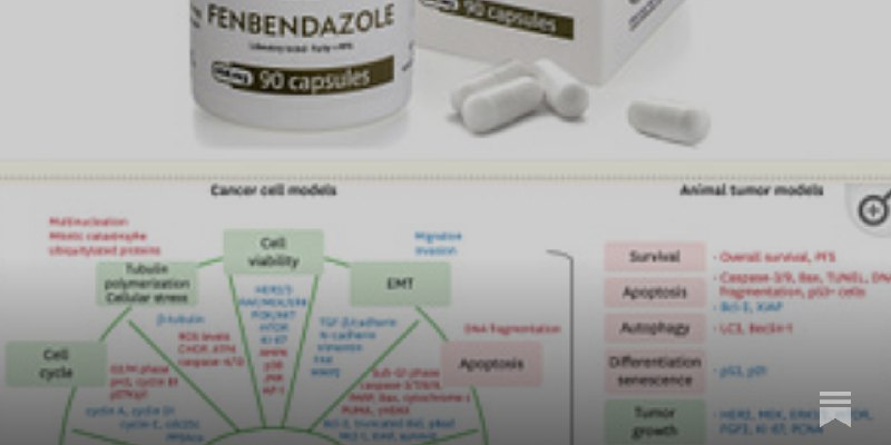 REPOST: FENBENDAZOLE and CANCER - at least 12 Anti-Cancer mechanisms of action. Not approved by FDA. Cheap. Safe. Kills aggressive …
