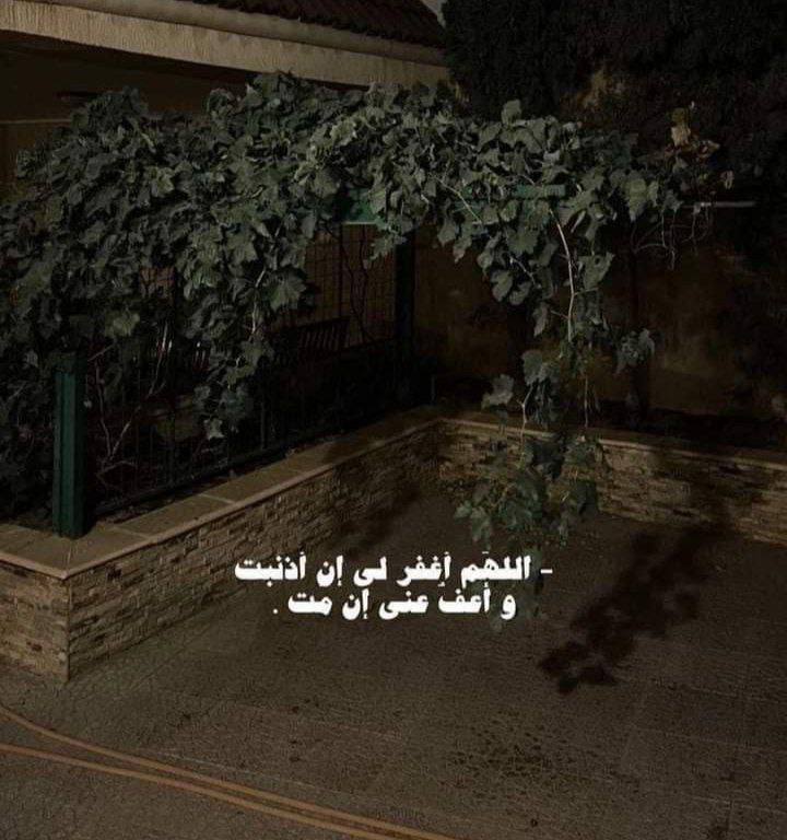 ﴿ أَلَا بِذِكْرِ اللَّهِ تَطْمَئِنُّ الْقُلُوبُ﴾