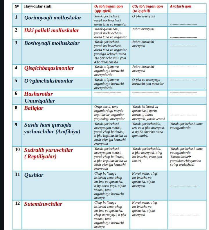 “IXTIYOR XURSANOV” O'QUV MARKAZI