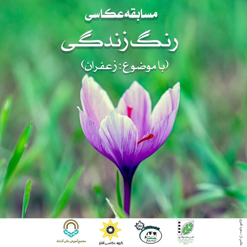 ‌تمدید مهلت ارسال آثار به
