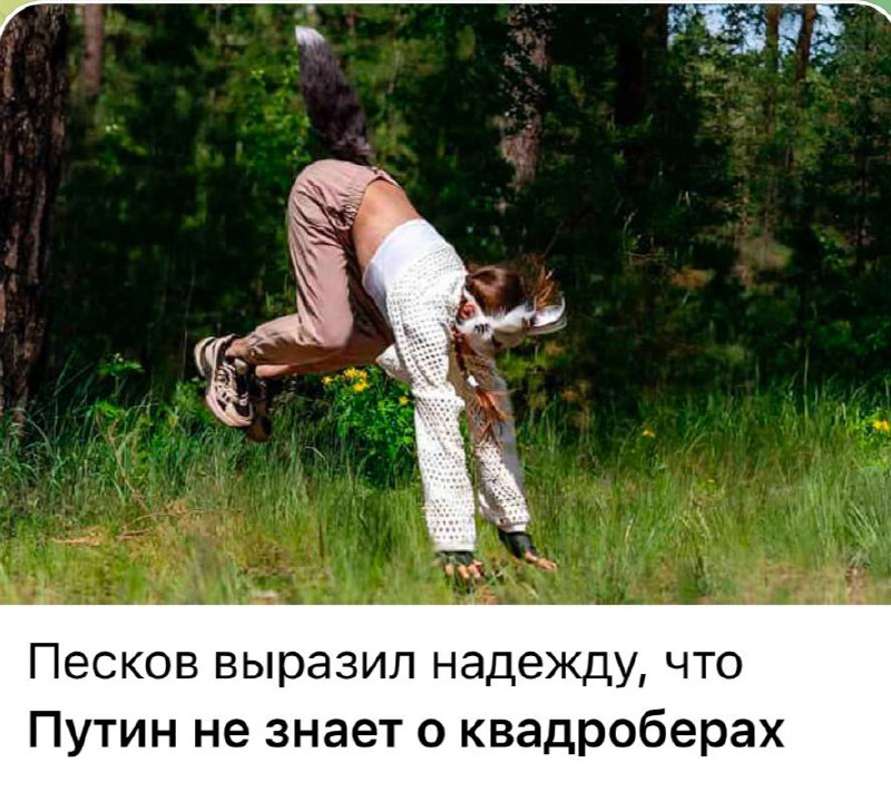 Новость дня***😂******🐺***