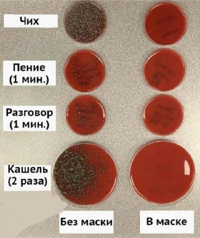 **Наглядно о том, как распространяются микроорганизмы …