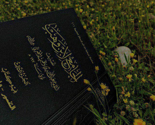 [#اثار\_متنوعة](?q=%23%D8%A7%D8%AB%D8%A7%D8%B1_%D9%85%D8%AA%D9%86%D9%88%D8%B9%D8%A9)