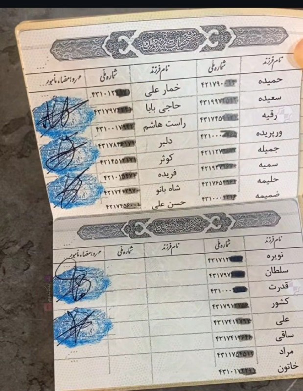 شناسنامه عجیب پیرزن قزوینی