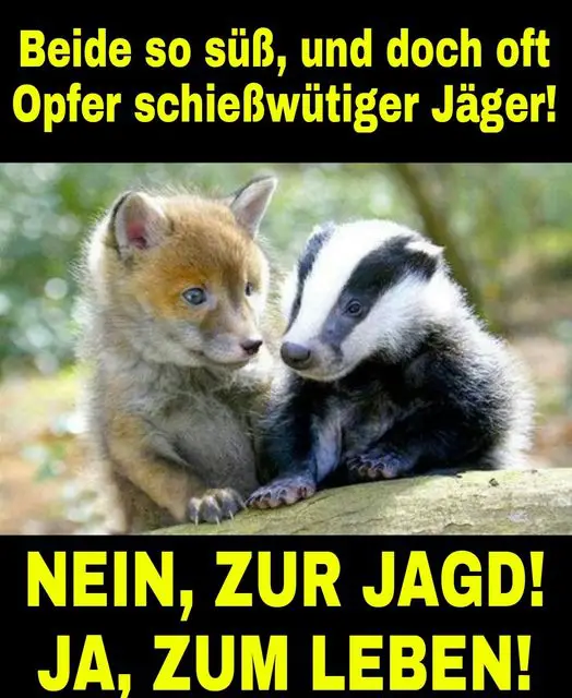 **Wer Tiere aus dem Hinterhalt tötet, …