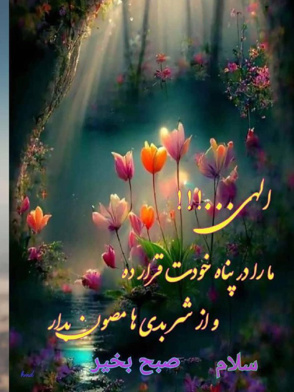 دکلمه های ژاکلین سیاره پیما. گوینده …