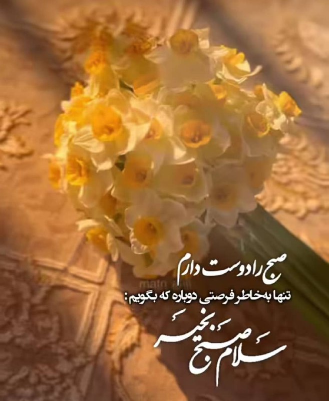 دکلمه های ژاکلین سیاره پیما. گوینده …