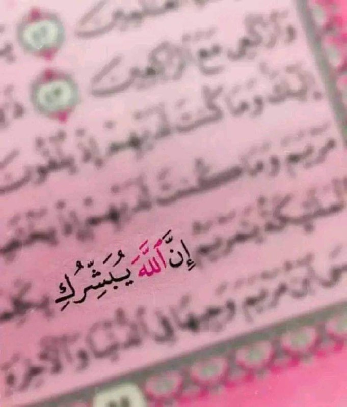 ليبقى خير جليس : (قراءة في …
