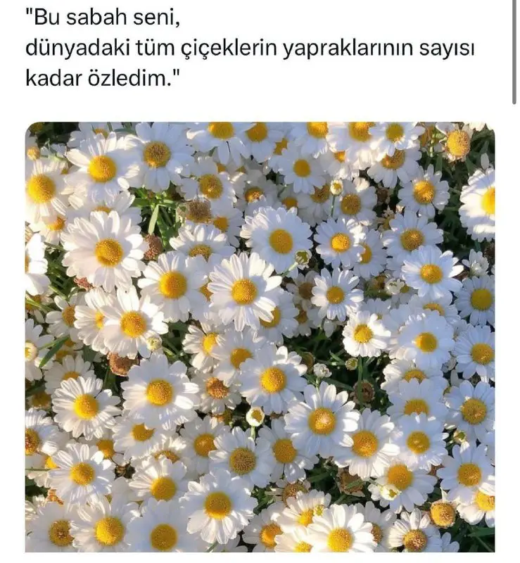 امروز صبح