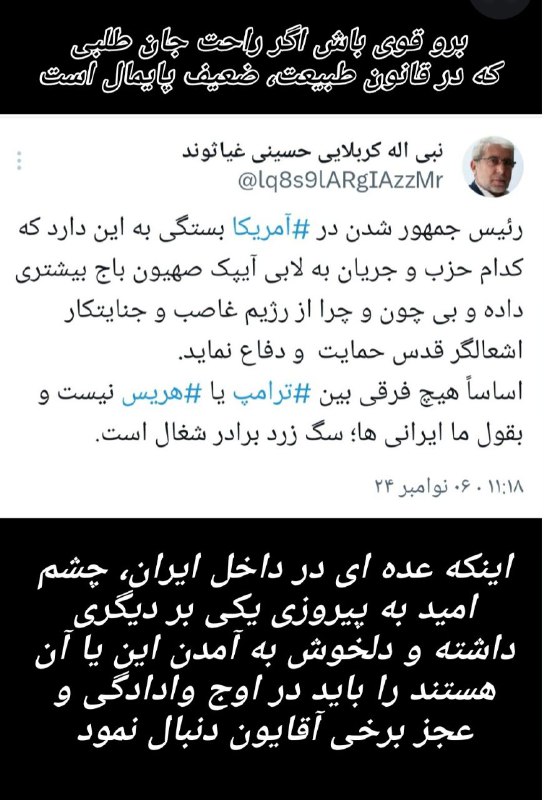 جانباز احمدی نژادی