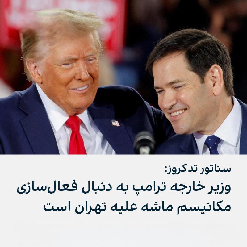 ***?***تد کروز، سناتور جمهوری‌خواه، گفت مارکو …