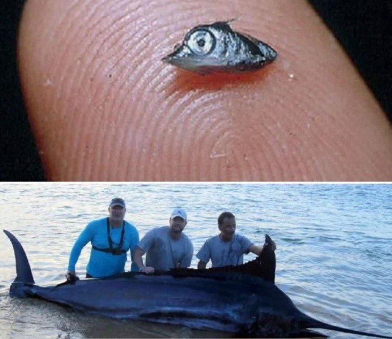 **از عجائب*****😍***