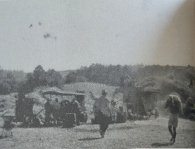 Jasenovac Camp Archive