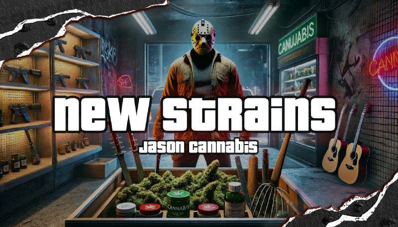 ***⚠️*** **ВИТРИНА JASON CANNABIS** *****⚠️*****