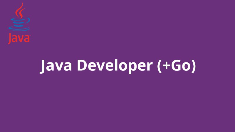 **Java Developer (+Go)**