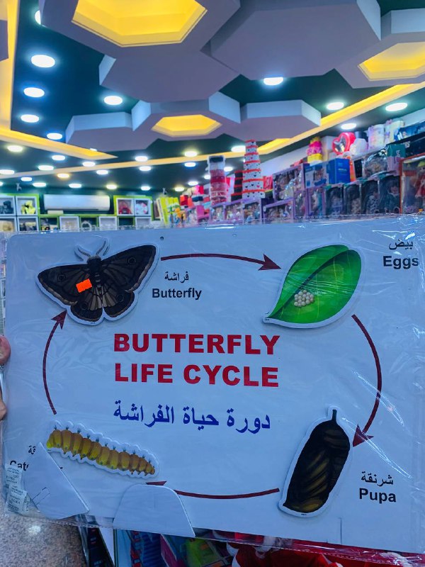 مكتبة الجوهرة في البنوك💎