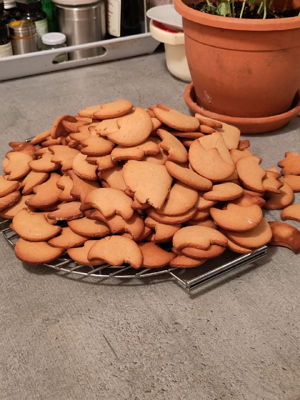 Die ersten Weihnachtsplätzchen sind entstanden! Lebkuchen. …