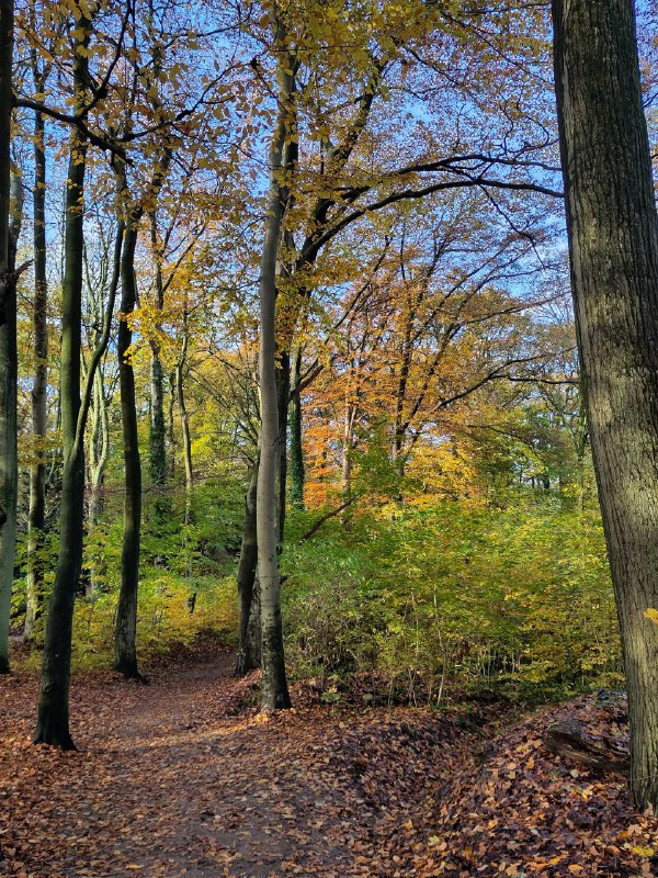 Wie grün es hier noch ist! …