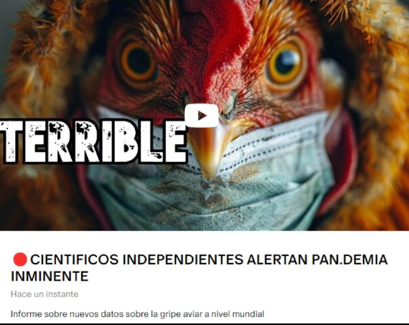 ***🔴***nuevo video en patren