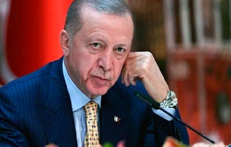 ***?*** اردوغان: کمربند امنیتی از مدیترانه …