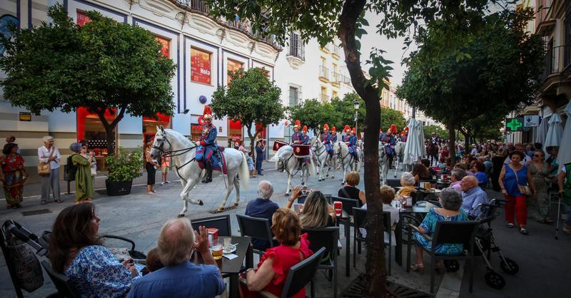 La elegancia de los caballos se …