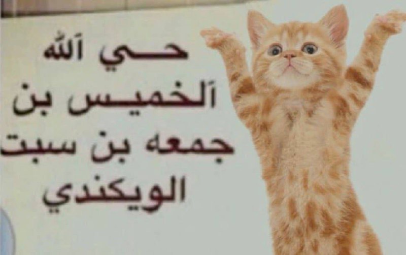 موسوعة ميمز 🌚