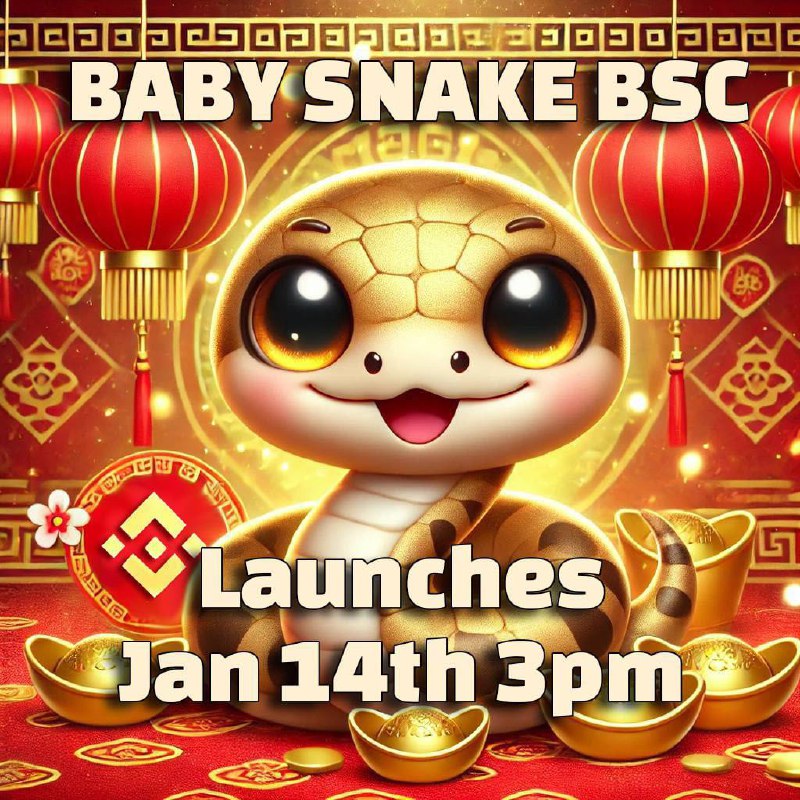 ***🔶*****$BabySnake BSC**