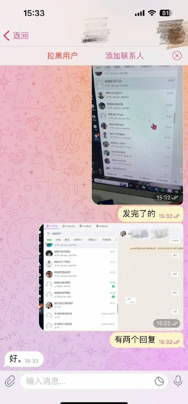 WhatsApp绿标号 ws群发 ws引流