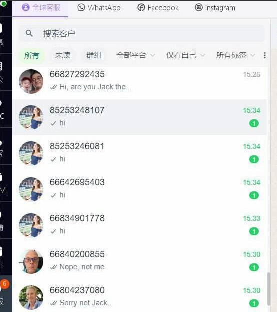 WhatsApp绿标号 ws群发 ws引流