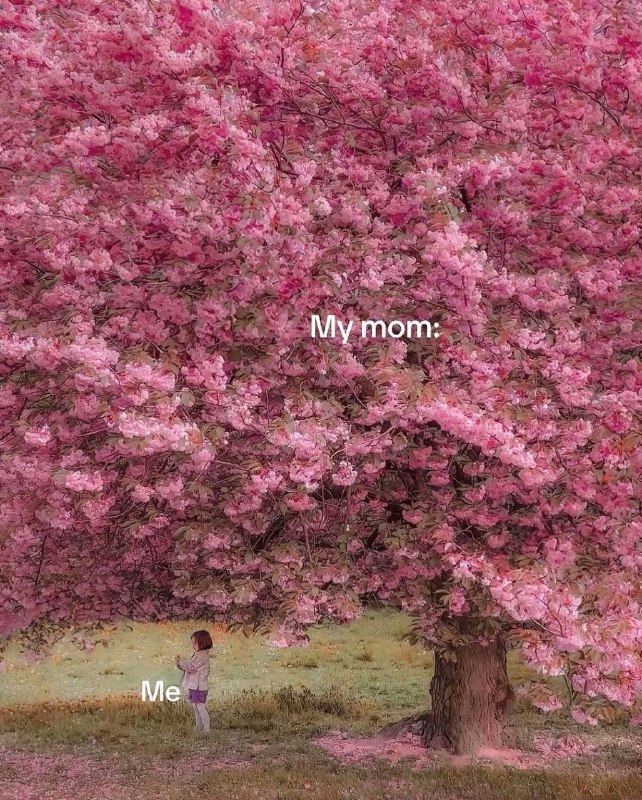 ***👛******🩷***