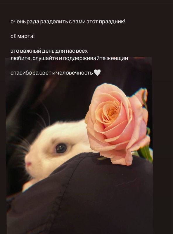 jintjint