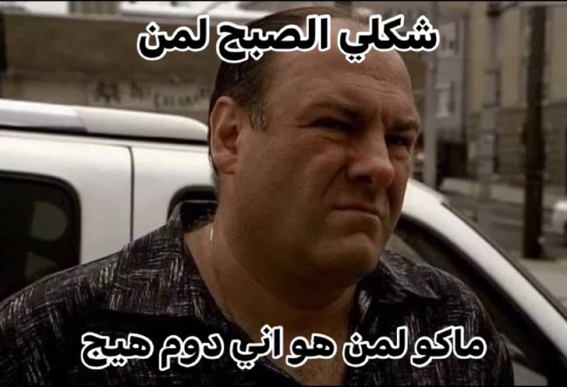 ميمز