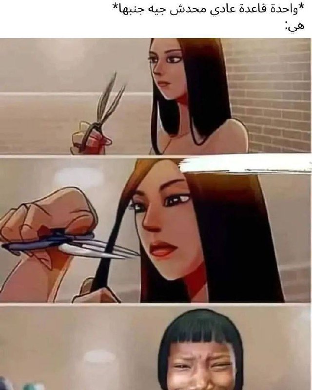 ميمز