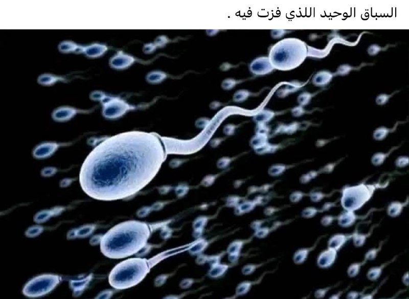 ميمز