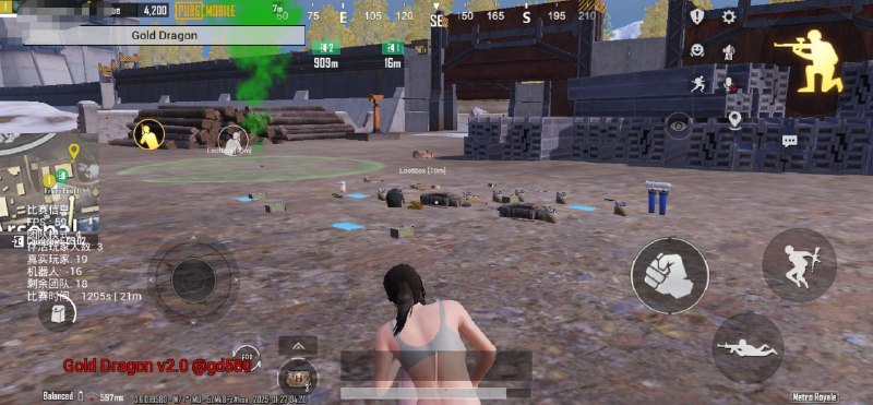 金龙 【原沙漠风暴】PUBG🇨🇳