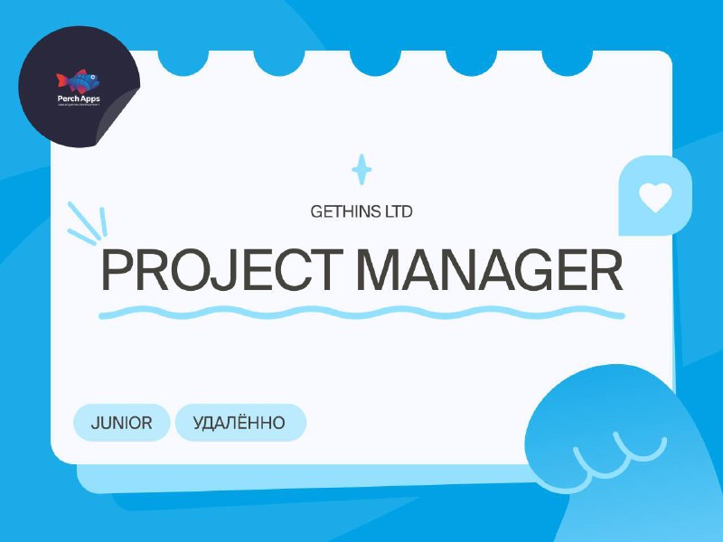 **Junior Project Manager**