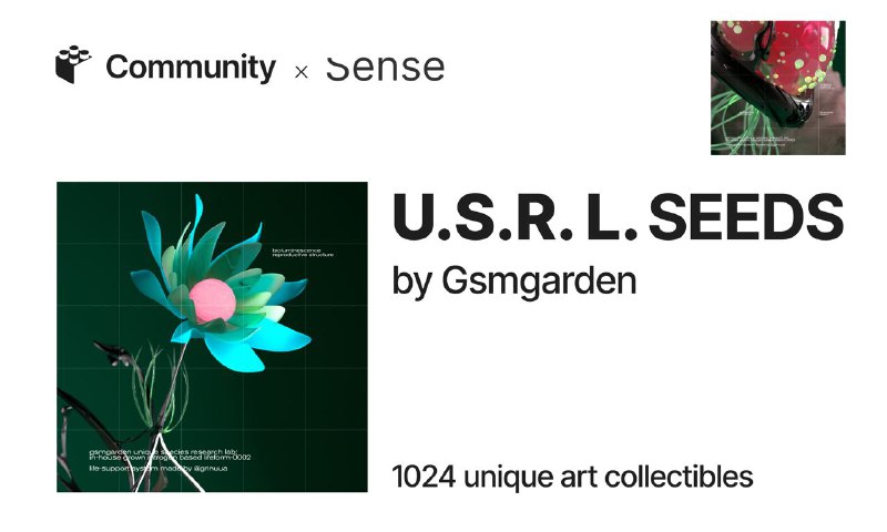 **Sense x Gsmgarden “U.S.R.L. Seeds”**