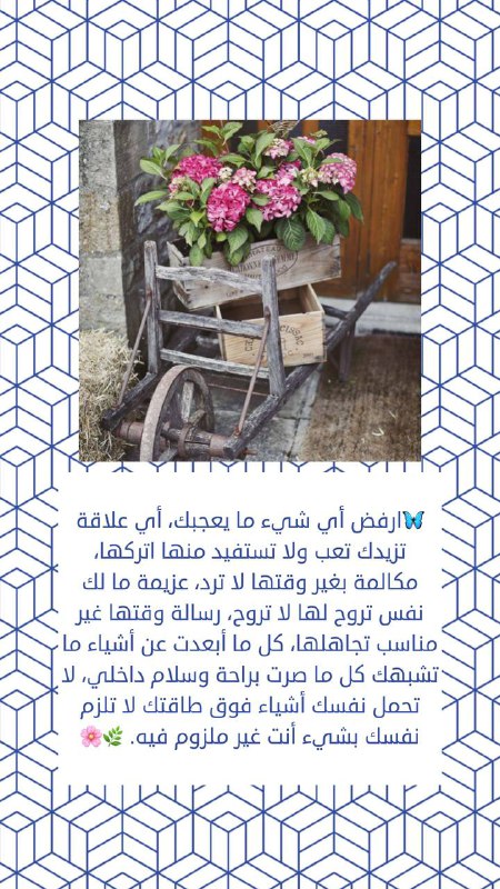 عالم المنوعات🪐💖