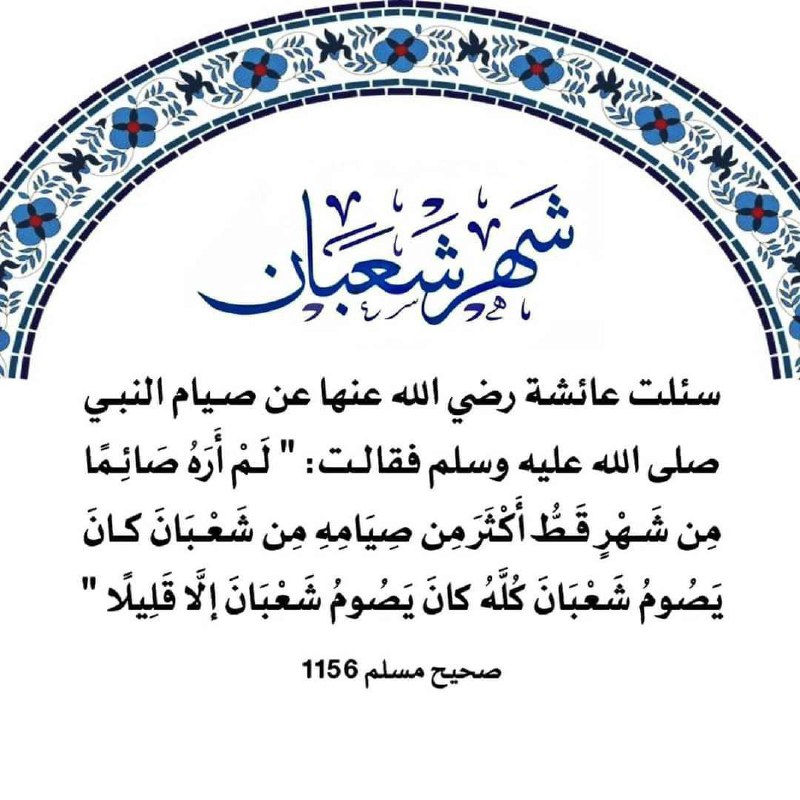 👑. مجموعة فتاوي الشيخ صالح الفوزان …