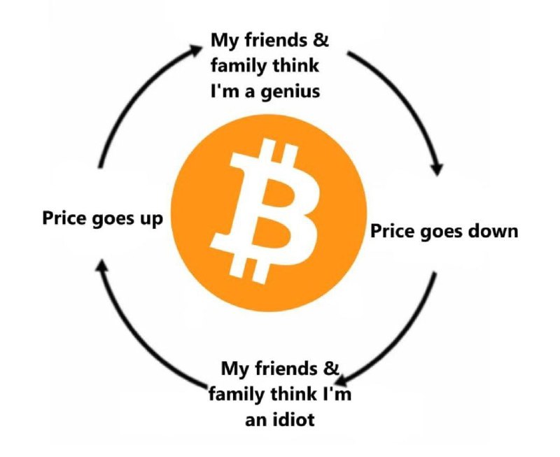 [@Jokes](https://t.me/Jokes) Bitcoin Cycle