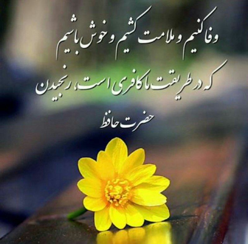 هیچ‌ کس در این دنیا،