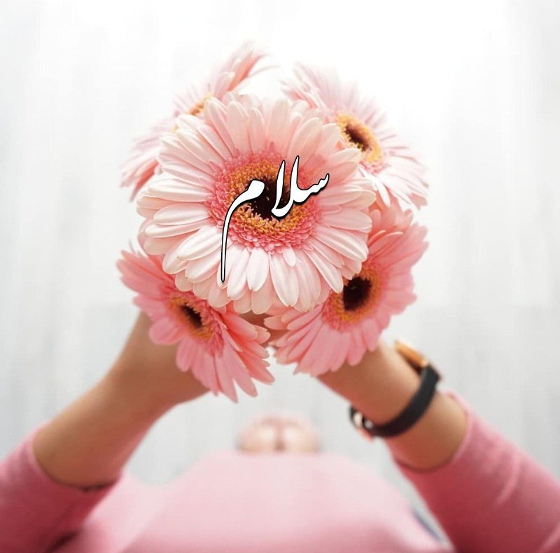 هیچ آغازیی زیباتر از سلام
